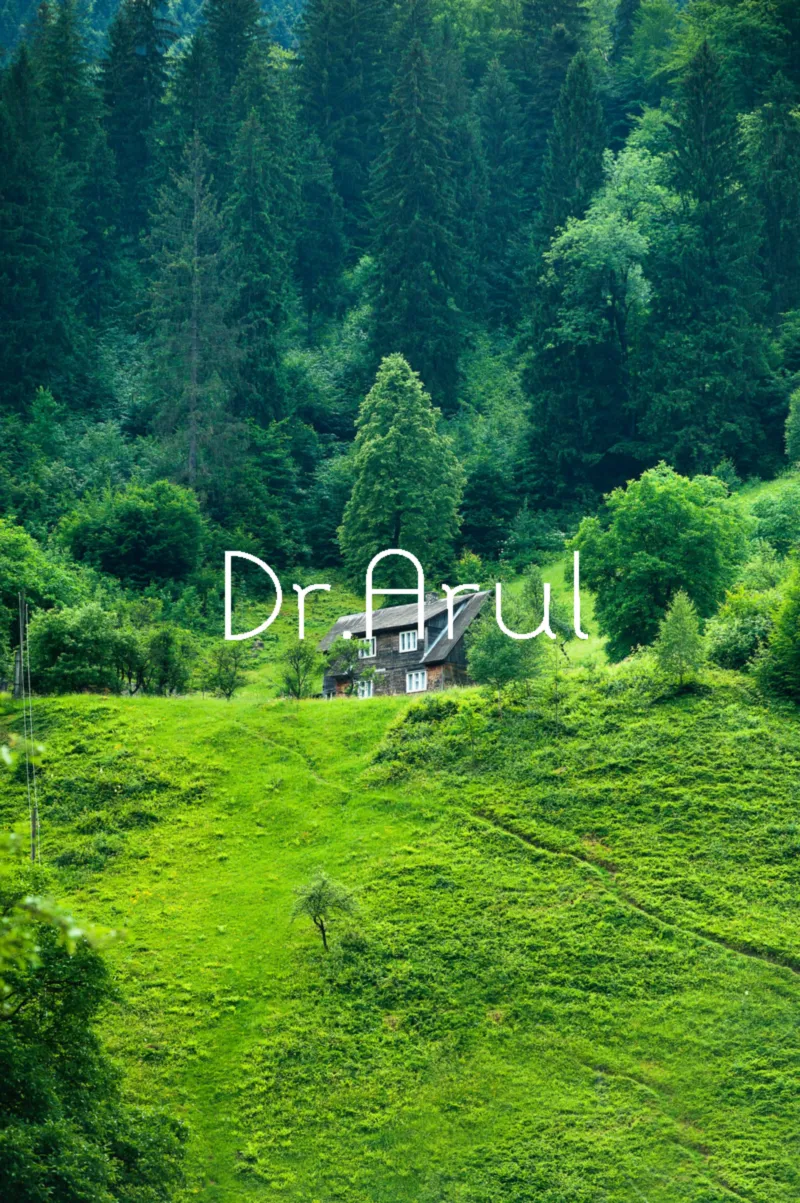 Nature Beautiful Scenery