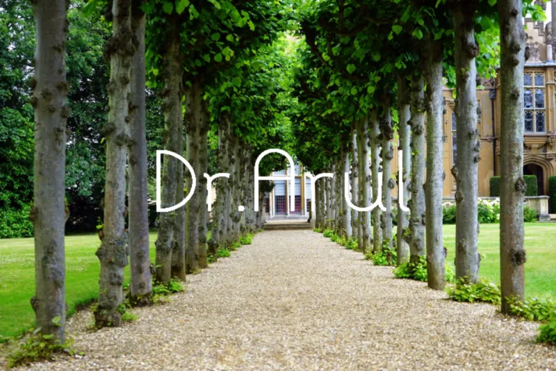 Nature Beautiful Sceneray